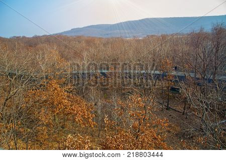 autumn forest, Safari Park, it highest bridge to walking people. Russia. Primorskiy Kray