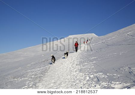 Pen y Fan, Wales, UK: December 11, 2017: A man walks toward the camera with two dogs on a snow covered Pen y Fan mountain in the Brecon Beacons National Park with blue sky background
