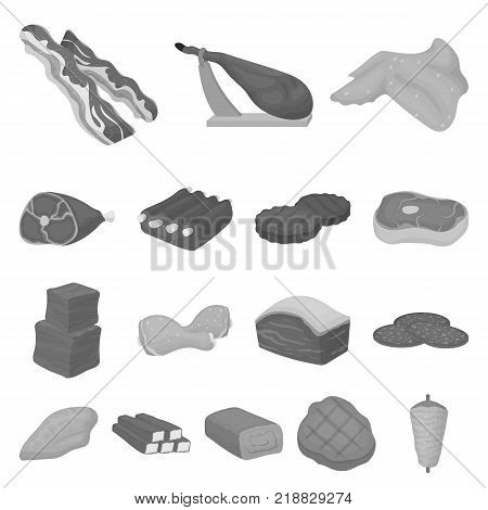 Different meat monochrome icons in set collection for design. Meat product vector symbol stock  illustration.