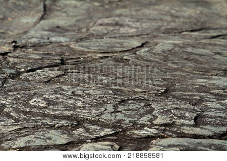 Rock Formation In Nagatoro, Saitama, Japan