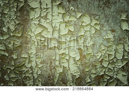 Vintage and grunge green wall with peelled paint
