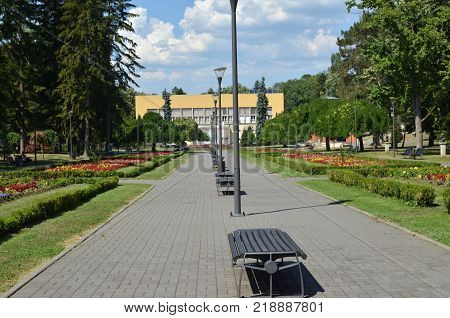 Public Park In Summer