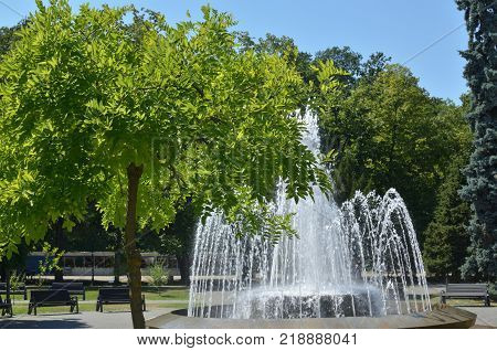 Public park with trees and fountain in summertime