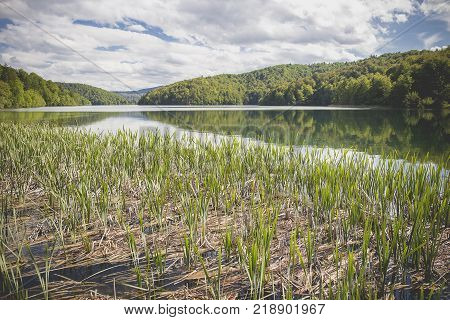Beautiful Nature At  