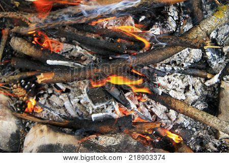 Bonfire in the forest ready for barbeque