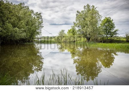 Bucolic Nature Landscape With A Lake, Green Vegetation And Sky With Cloud Reflecting In The Water Su