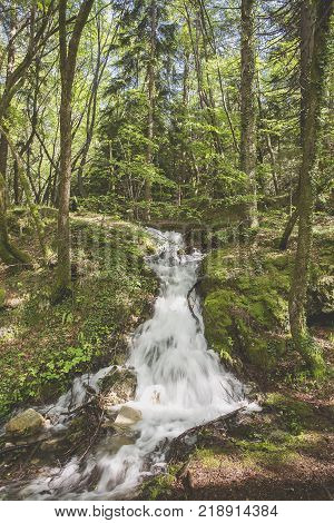 Waterfall Stream Through The Forest 