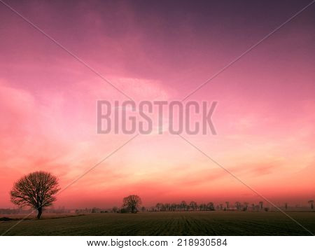 Magical pink sunset over rural silhouette of trees against burned evening skyl