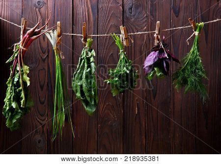 Bunches of fresh herbs spinach, betroots, dill, parsley, spinach, basil, green onion hanging on the string.Wooden background. Concept season herbs