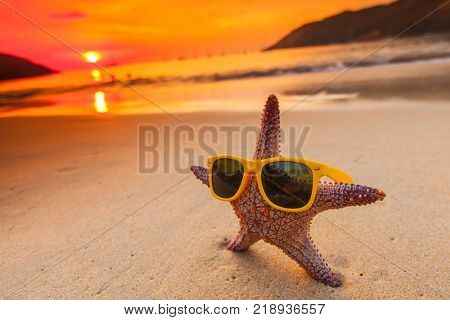 Starfish in sunglasses on sea beach at sunset, Bali, Seminyak, Double six beach