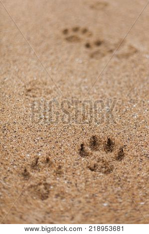 Photos taken around the iconic Bells Beach located in Torquay Victoria