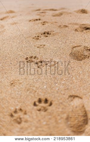 Photos taken around the iconic Bells Beach located in Torquay Victoria