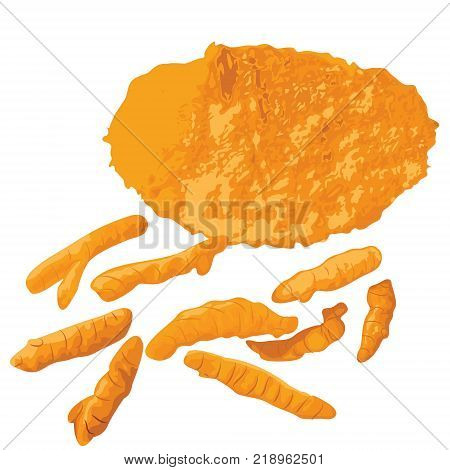 Turmeric roots and ground powder vector illustration