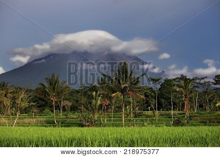 Merapi Volcano Landscape, Java, Indonesia. View Of Merapi Volcano