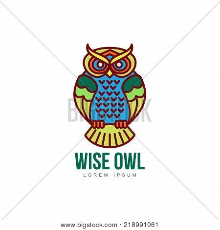 wise hand drawn colored sitting wise owl closeup front view. brand logo stylized design silhouette pictogram. Line icon bird isolated illustration on a white background.