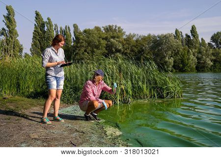 Team Of Ecologists Take Samples Of Green Algae On Bank Of Polluted River
