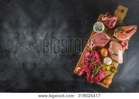 Carnivore Protein Diet Background