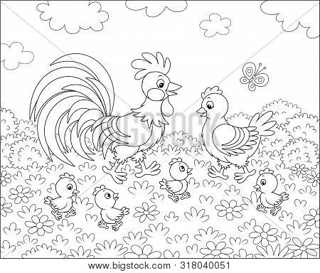 Family Of A Rooster, A Cute Hen And Little Chicks Walking Among Flowers On Grass Of A Summer Field, 