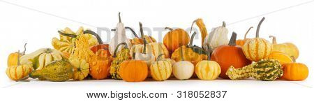 Assortiment of autumn harvested pumpkins in a heap isolated on white background , Halloween holiday concept