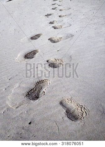 Holiday Summer Foot In Beach Tracetrack Tropical
