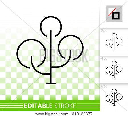Maple Thin Line Icon. Outline Web Sign Of Chestnut. Bonsai Linear Pictogram With Different Stroke Wi