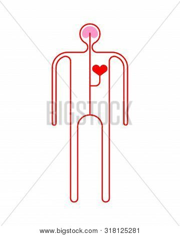 Human Circulatory Vector Photo Free Trial Bigstock Human Circulatory Vector Photo Free Trial Bigstock