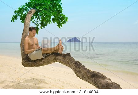 Attraktive mand med bærbar computer siddende i et træ på en tropisk strand.