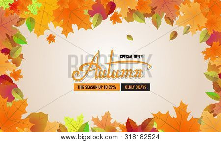 Autumn Sale Background Layout. Autun Sale Decoration With Leaves Border For Greeting Card Or Cover. 