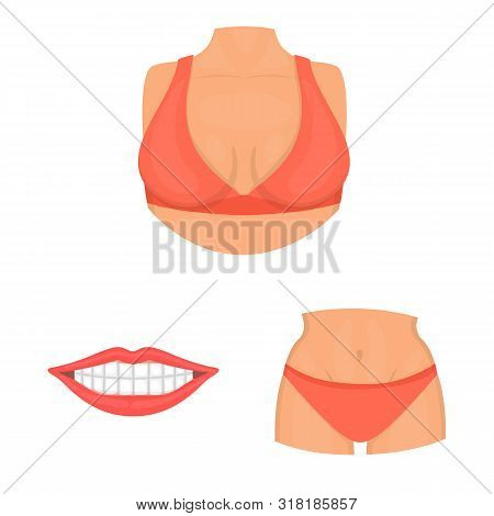 Vector Illustration Of Body And Part Icon. Collection Of Body And Anatomy Stock Symbol For Web.