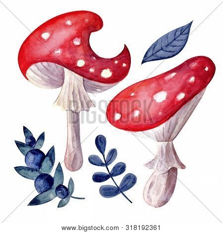 Autumn Collection Of Forest Berries And Mushrooms In Watercolor. Red Fly Agaric, Blue Blueberries, F