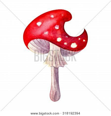 Red Fly Agaric In Watercolor. Forest Mushrooms. Autumn Forest. Isolated Object On White Background. 