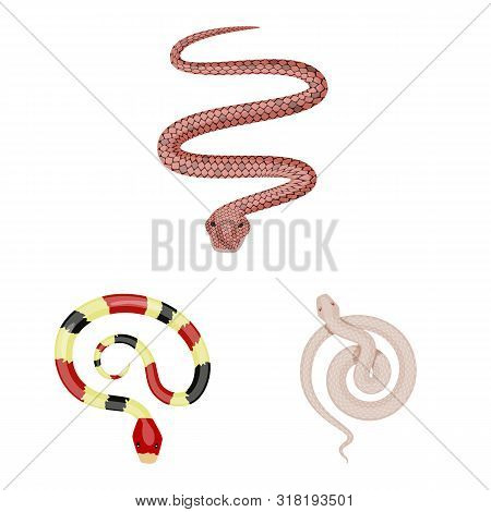 Vector Illustration Of Poison And Evil Symbol. Collection Of Poison And Bite Stock Vector Illustrati