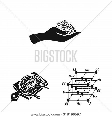 Vector Design Of Natural And Baking Logo. Collection Of Natural And Food Vector Icon For Stock.