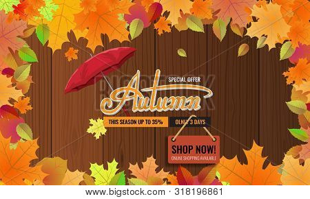 Autumn Sale Background Layout. Autun Sale Decoration With Leaves Border For Greeting Card Or Cover. 