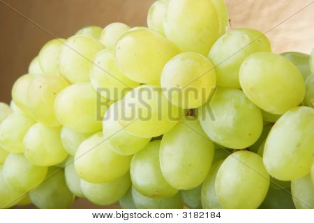 포도의 무리