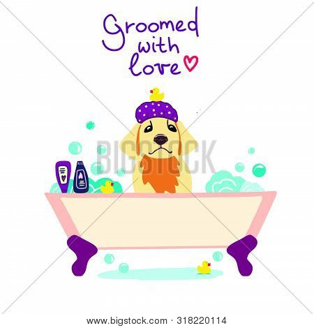 Vector illustration of cute dog in the bath with foam and shampoos and handwritten phrase Groomed wi