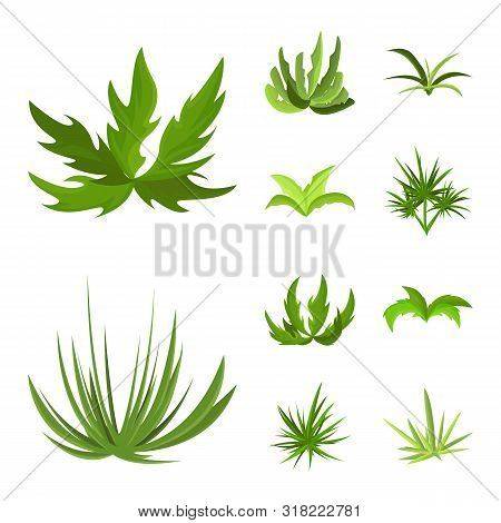 Vector Design Of Garden And Grass Logo. Set Of Garden And Shrub Vector Icon For Stock.