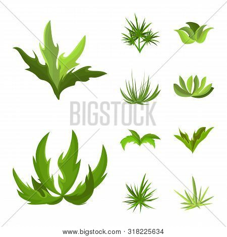 Vector Design Of Garden And Grass Symbol. Set Of Garden And Shrub Stock Symbol For Web.
