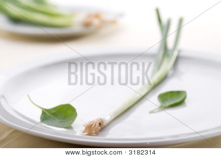 High Key Green Onion On A Plate