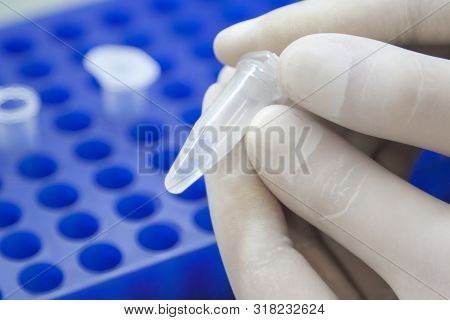 Scientist Hands In White Gloves Holding The Eppendorf Tube With Dna Samples  In Laboratory.