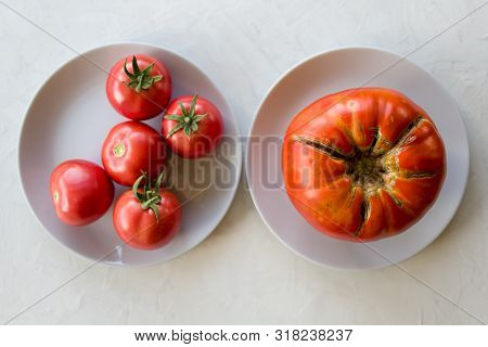 Trendy Of Ugly Vegetables. Tomatoes Large Size On A Plate And Normal Tomatoes On The Second Plate On