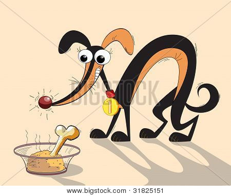 Cane con un osso