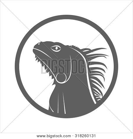 Iguana Graphic Icon. Iguana Head Grey Sign In The Circle Isolated On White Background. Vector Illust