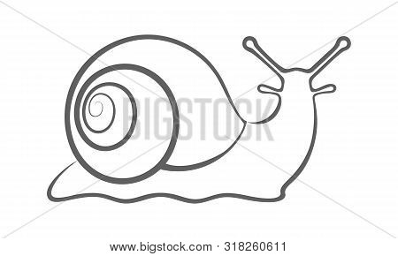 Snail Graphic Icon. Snail Sign Isolated On White Background. Vector Illustration