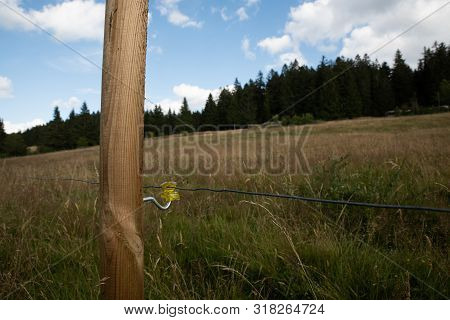Wire On A Pasture In The Black Forest In Bernau