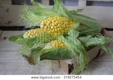 Grains Of Ripe Corn. Macro. Corn On The Cob, The Food Is Ripe, Juicy, Delicious Corn. Photo Of Corn 