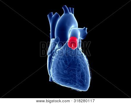 3d rendered medically accurate illustration of the pulmonary valve