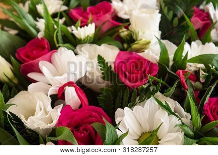 Rose Flower. Flower In Garden At Sunny Summer Or Spring Day. Flower For Postcard Beauty Decoration A