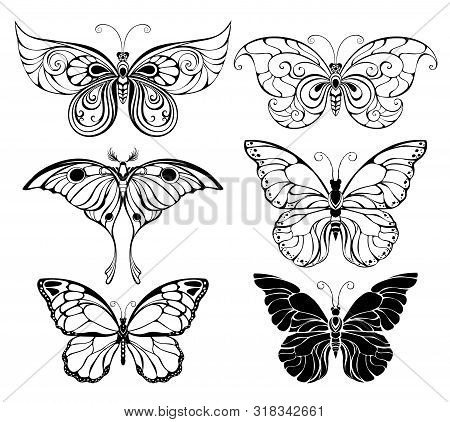 Set Of Artistically Drawn, Outline, Black Butterflies On A White Background. Butterflies. Element Of
