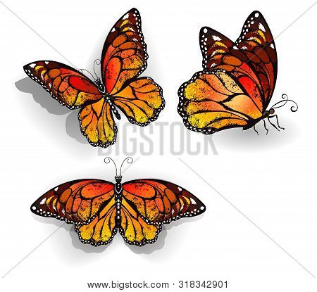 Set Of Orange, Realistic, Isolated Monarch Butterflies On A White Background. Monarch. Design With B
